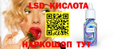 гидропоника Пенза
