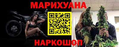 гидропоника Пенза
