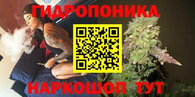 гидропоника Пенза