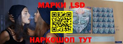 гидропоника Пенза