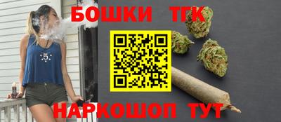гидропоника Пенза