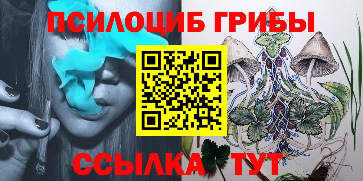 Тольятти  Псилоцибиновые грибы Cubensis  Вход с VPN 