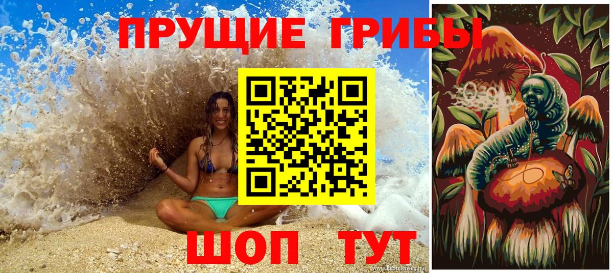 Галлюциногенные грибы Cubensis Тольятти